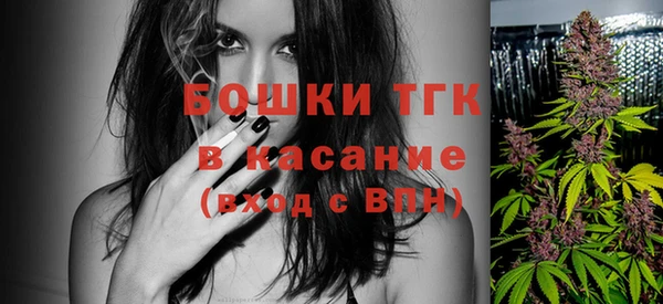 гидропоника Бородино