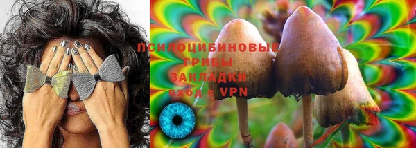 гидропоника Бородино