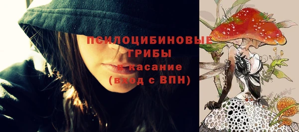 герыч Бугульма