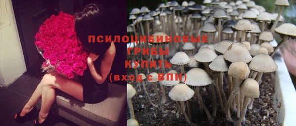 гидропоника Бородино