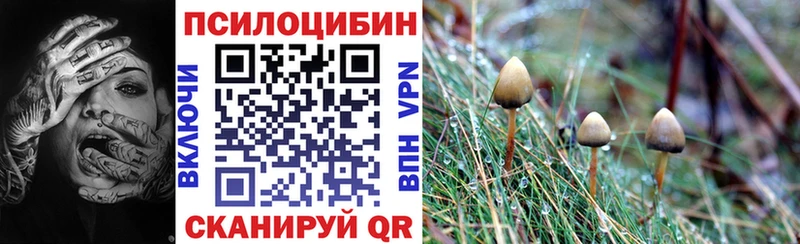 Псилоцибиновые грибы Psilocybine cubensis Новошахтинск
